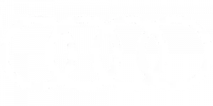 Audi-white